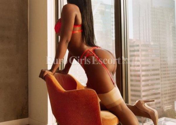 Visit South Africa (All) incall escort Selma for an hour or two (1 hour ZAR 0)