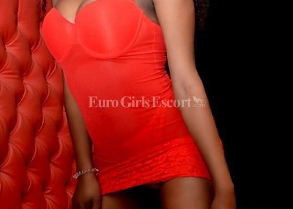 Cheap local escort in South Africa (Cape Town)